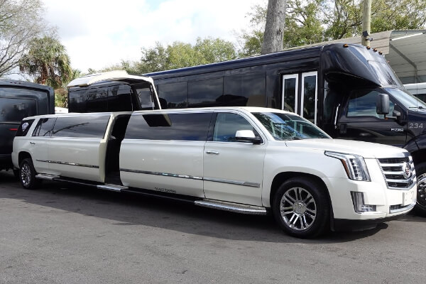 Caddy limos in Clearwater